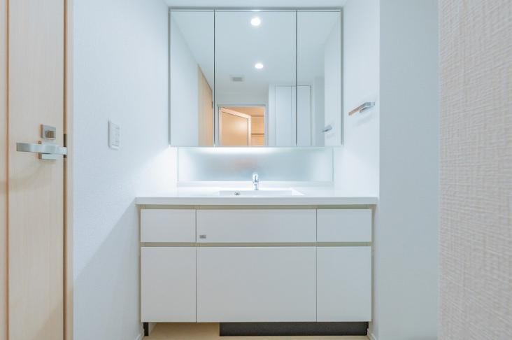 ブランズタワー南千住-13-洗面