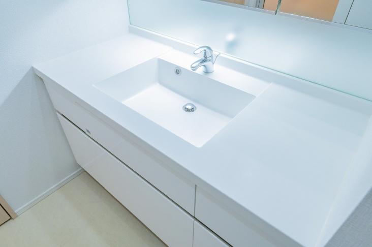 ブランズタワー南千住-14-洗面