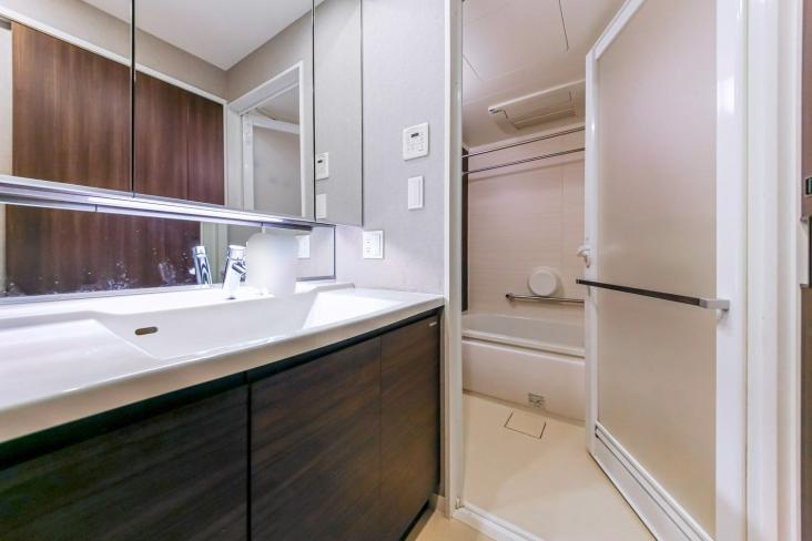 リビオレゾン大手町-15-洗面