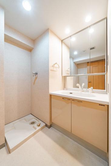 ネオマイム湯島-21-洗面