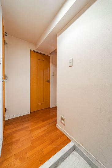 ネオマイム湯島-31-玄関