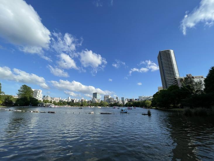 ネオマイム湯島-46-レジャー観光