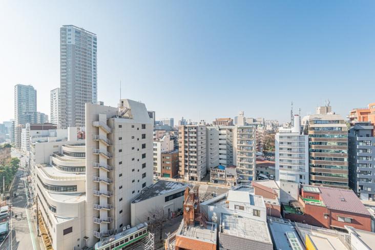 ザ・ライオンズ上野の森-10-眺望