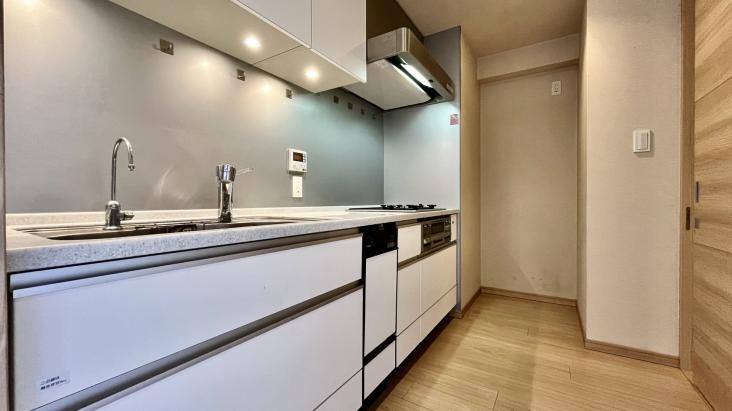 ザ・ライオンズ上野の森-17-キッチン