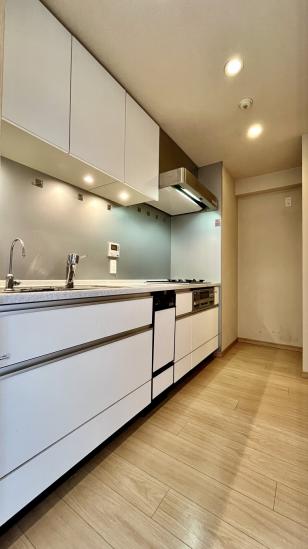 ザ・ライオンズ上野の森-18-キッチン