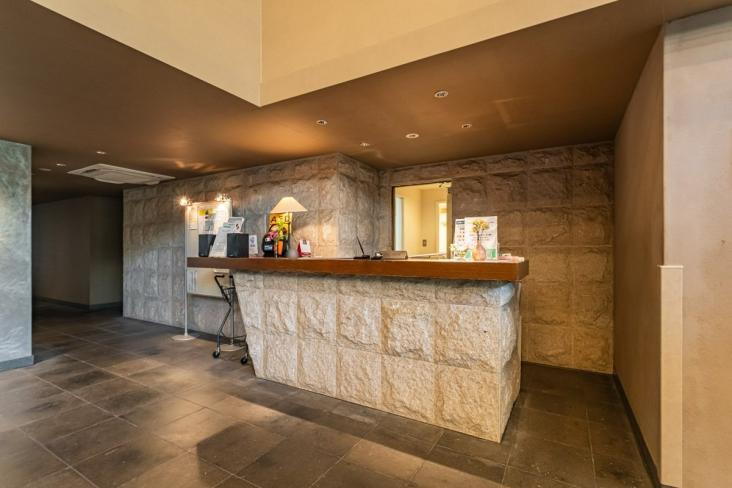 ザ・ライオンズ上野の森-28-エントランス