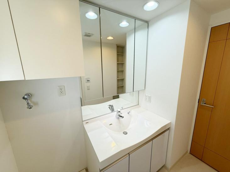 リリーベル墨田リバーコースト-7-洗面