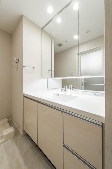 アトラスブランズタワー三河島-20-洗面