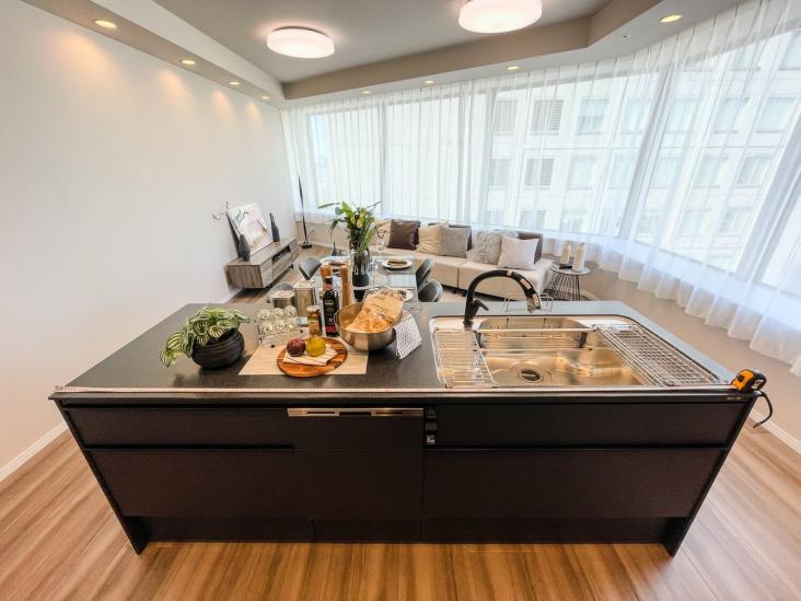 Ｂｒｉｌｌｉａタワー東京(ブリリアタワー東京)-14-キッチン