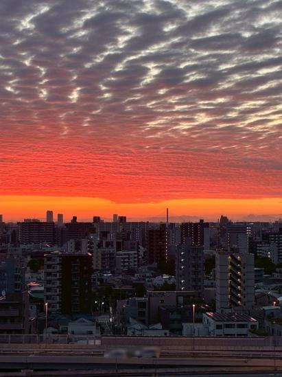カーサ浅草桜橋-21-眺望