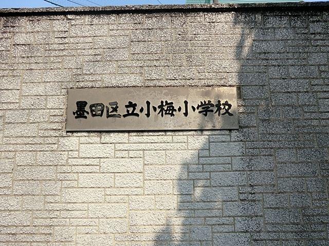 アトラス押上　桜花テラス-37-小学校