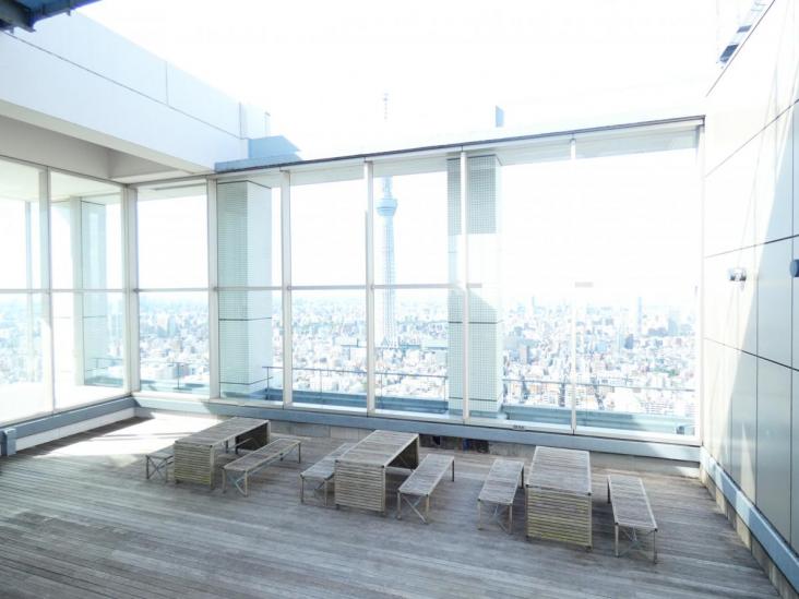 Ｂｒｉｌｌｉａタワー東京(ブリリアタワー東京)-37-共有部分