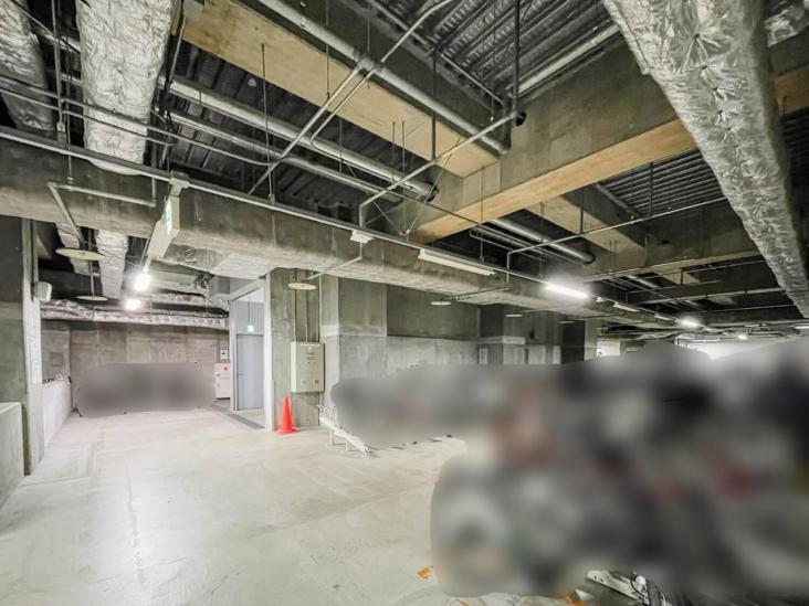 Ｂｒｉｌｌｉａタワー東京(ブリリアタワー東京)-41-共有部分