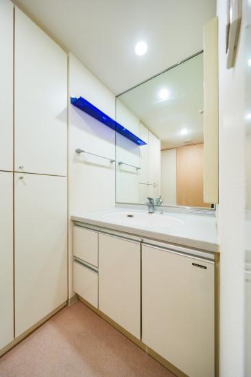 プリムローズ浅草ウエスト-9-洗面