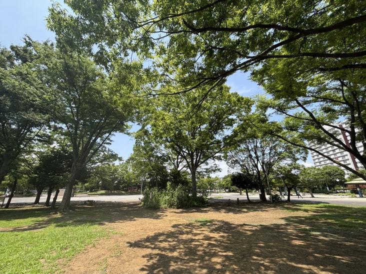 フュージョナルスター新小岩-26-公園