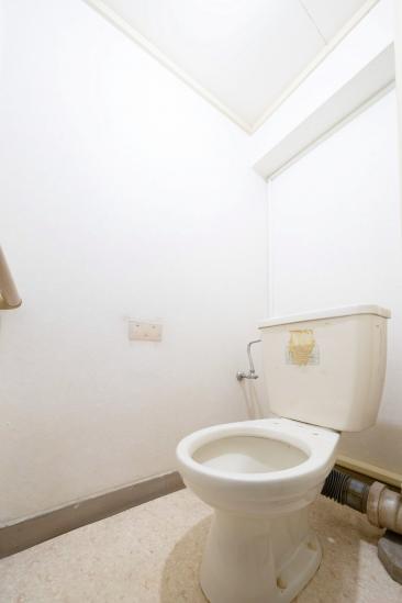 東白鬚第二マンション　１０号棟-8-トイレ