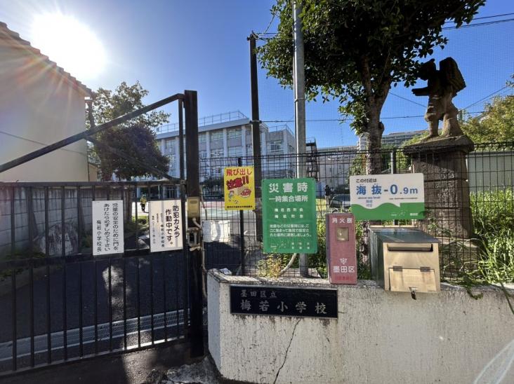 東白鬚第二マンション　１０号棟-20-小学校
