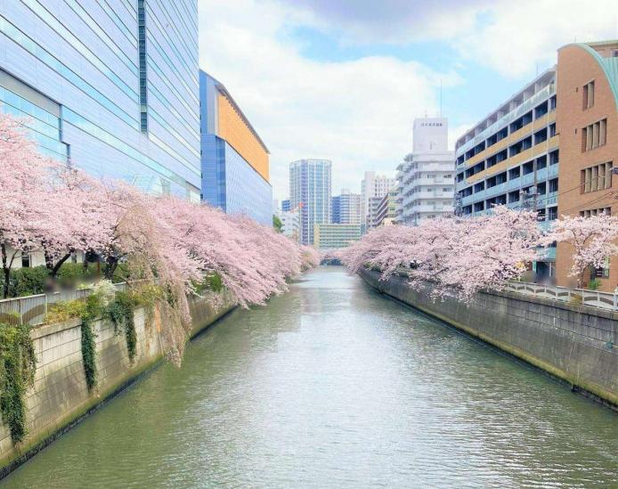 セブンスターマンション中目黒-27-周辺の街並み