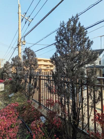 ルフォン南平台-34-眺望