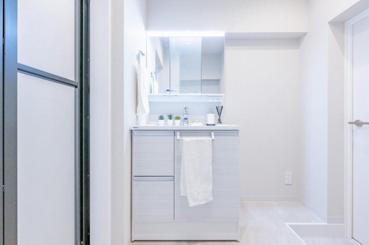 ライオンズマンション三軒茶屋-10-洗面