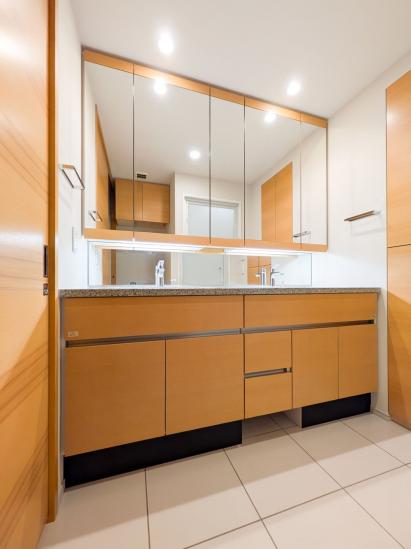 ブランズ渋谷常盤松-22-洗面