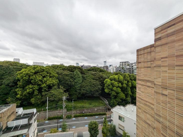 ブランズ渋谷常盤松-42-眺望