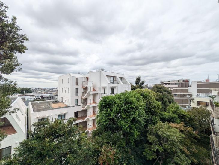 クラッシィハウス等々力-39-眺望