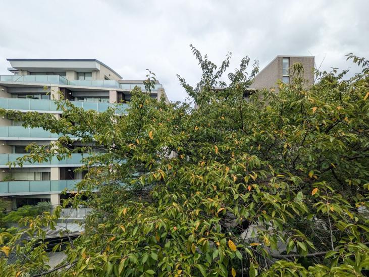 クラッシィハウス等々力-41-眺望