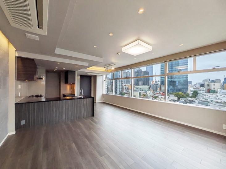 マジェスタワー六本木-0-リビング