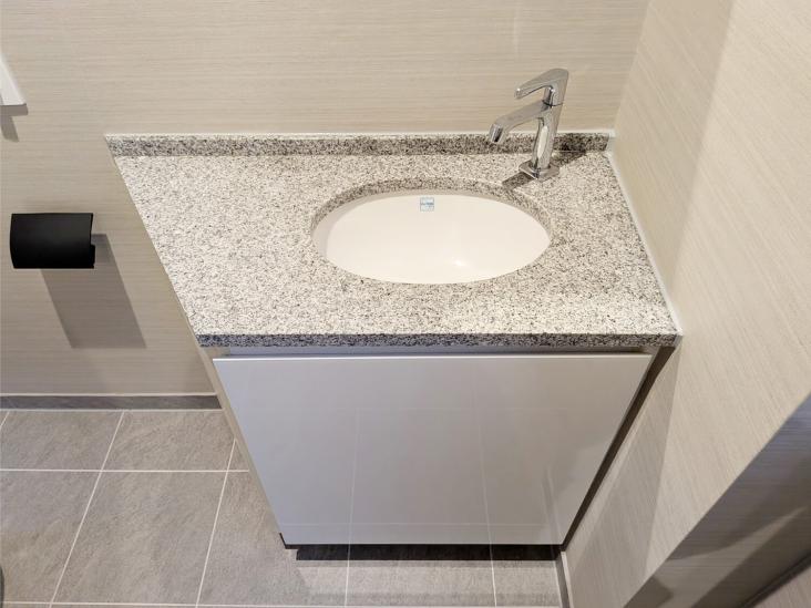 マジェスタワー六本木-25-トイレ