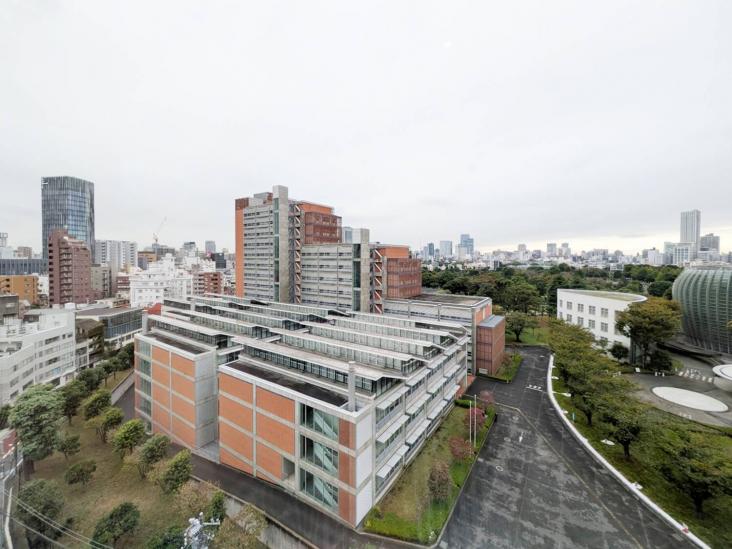 マジェスタワー六本木-36-眺望