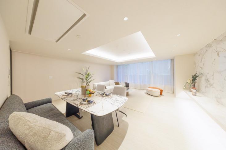 グランツオーベル南平台-2-リビング