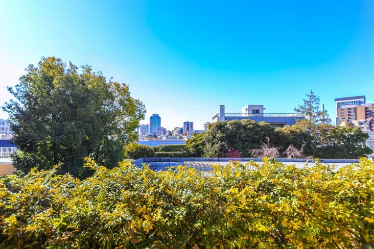 パーク・コート南青山ヒルトップレジデンス-3-眺望