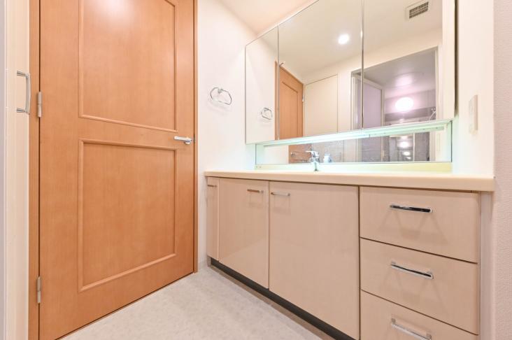 リーベスト桜新町-8-洗面