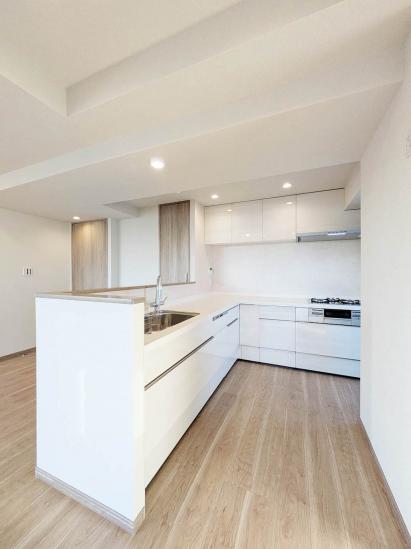 ライオンズスクエア用賀-22-キッチン