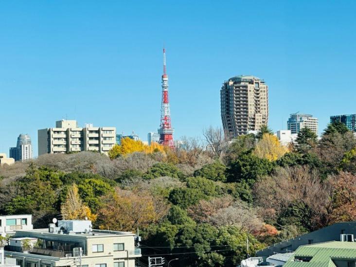 サンウッド広尾-18-眺望