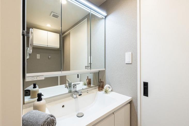 ダイアパレス代官山-12-洗面