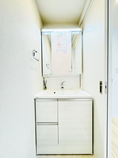 ライオンズマンション練馬-9-洗面