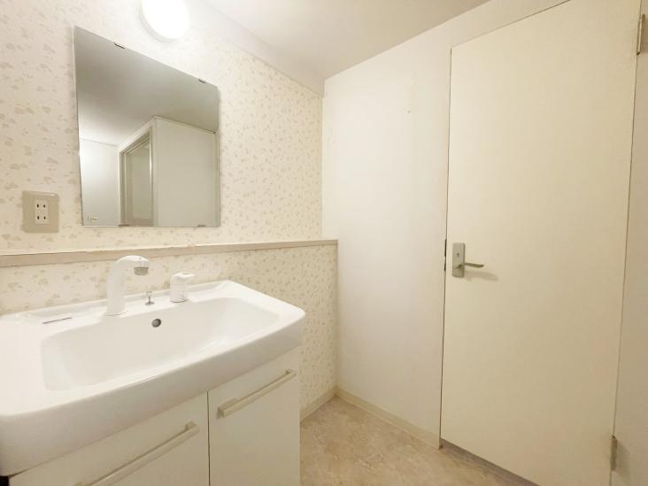 上板橋サンライトマンション AL棟-10-洗面