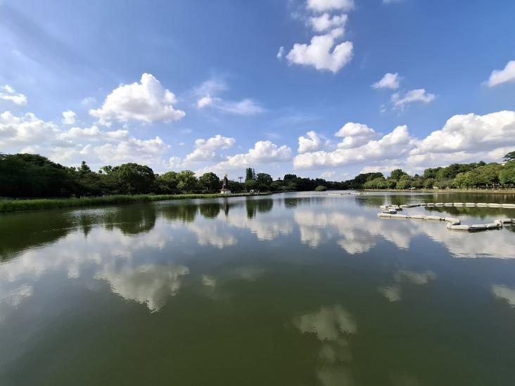 クレヴィスタ浮間舟渡-31-公園