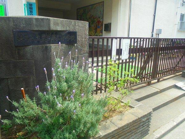 ライオンズマンション桜台-38-小学校