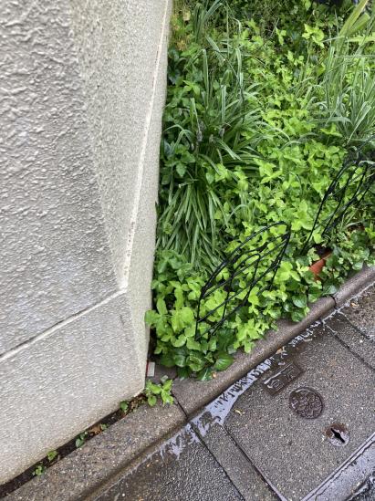 板橋区赤塚四丁目土地(古家付)-5-その他