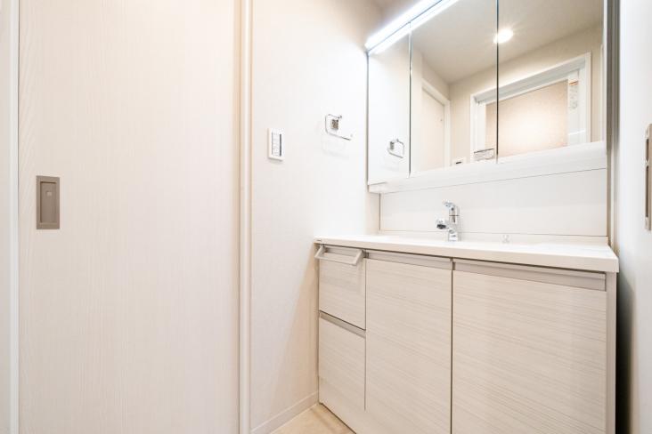 ダイアパレス常盤台-5-洗面