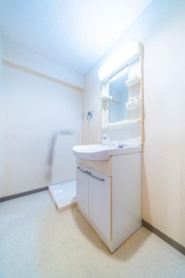 オリエンタルグリーンコーポラス-11-洗面