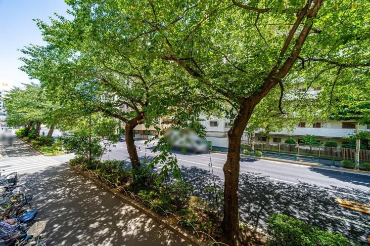 オリエンタルグリーンコーポラス-25-眺望