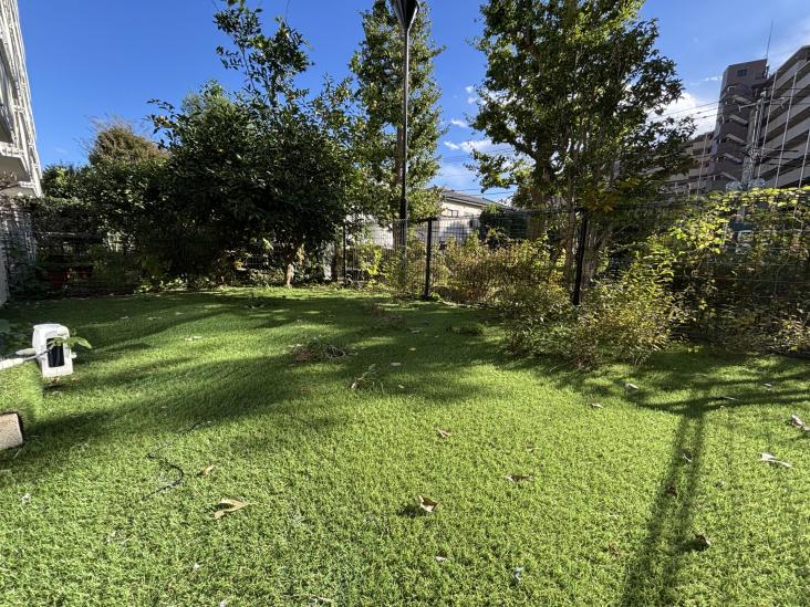 成増ハウス-4-庭