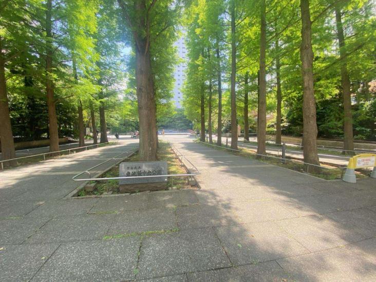 池袋パークハイツ-23-公園