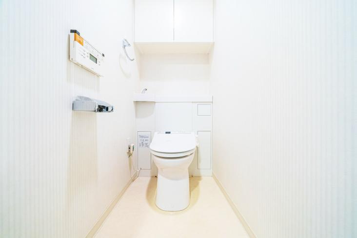 パークステージ石神井公園-17-トイレ