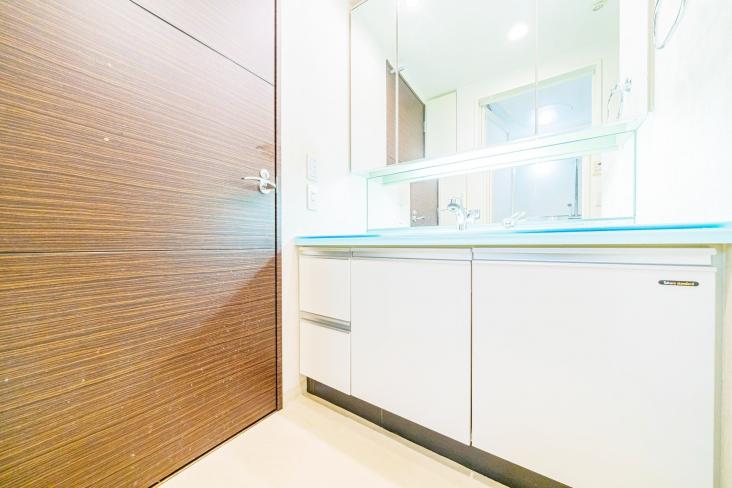 パークステージ石神井公園-21-洗面