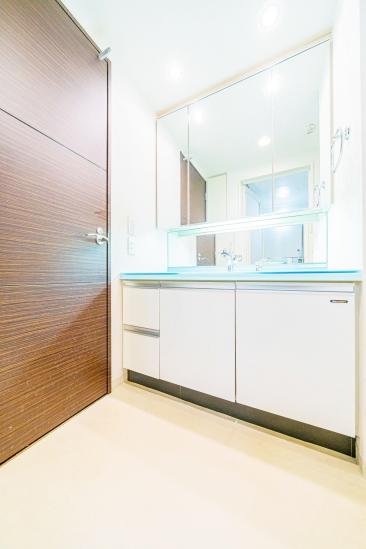 パークステージ石神井公園-32-洗面